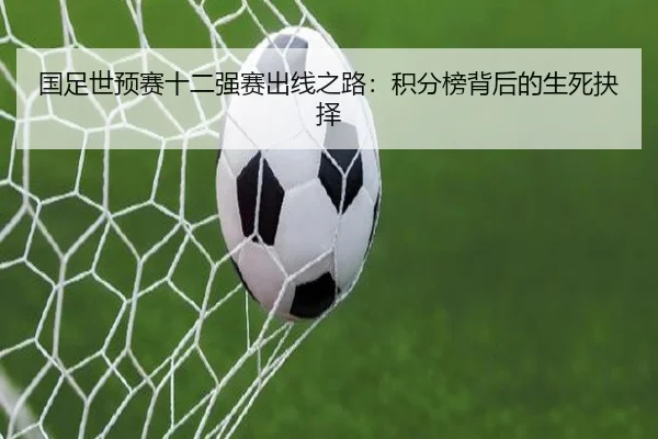 国足世预赛十二强赛出线之路：积分榜背后的生死抉择
