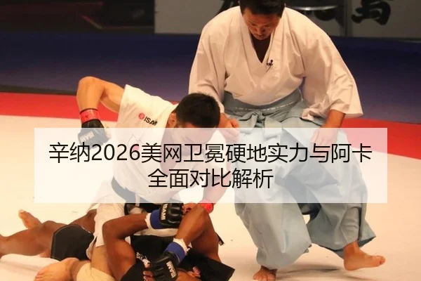 xin-na-mei-wang-wei-mian-ying-di-shi-li-yu-a-ka-quan-mian-dui-bi-jie-xi-2-391.jpg